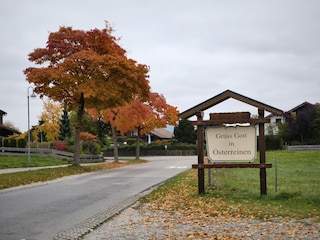 Ferienwohnung Rieden am Forggensee Umgebung 19