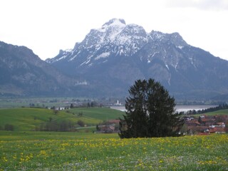 Ferienwohnung Rieden am Forggensee Umgebung 29