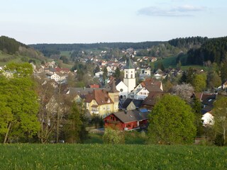 Blick auf Lenzkirch