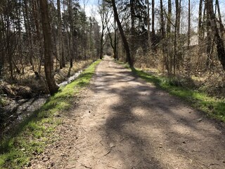 Appartement de vacances Zingst Environnement 14