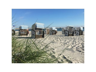 Ostseebad Boltenhagen - Blick auf den schönen Sandstrand