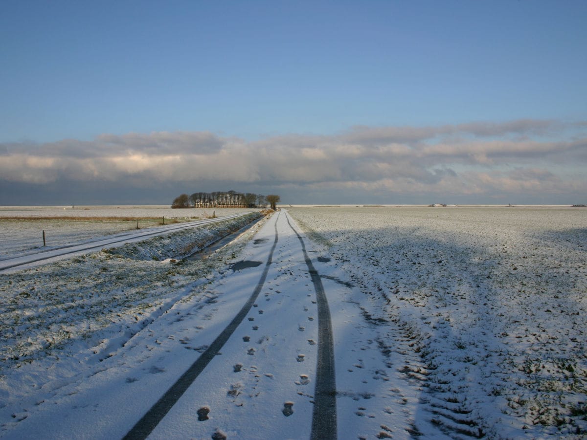 view at the backsite of the house in wintertime