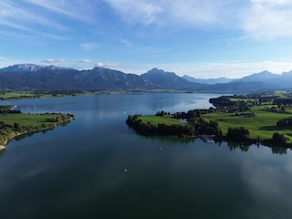 Der Forggensee