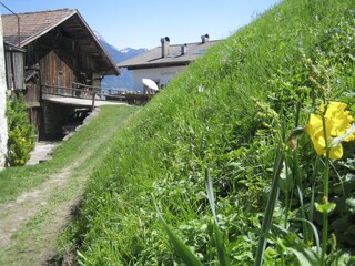 Ferienwohnung Marling Umgebung 21