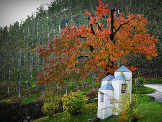 Außenbereich im Herbst