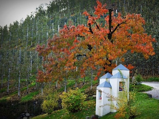 Exterior area in the fall