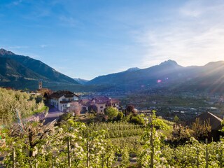 Blick auf den Pardellerhof, im Hintergrund Meran