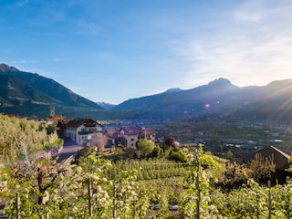 View of the Pardellerhof, Merano in the background