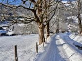 am "Sitebach" entlang ins Dorf