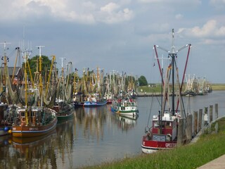 Greetsieler Hafen mit Krabbenkutterflotte