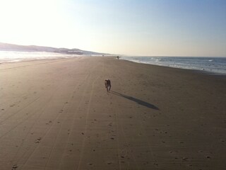 Casa per le vacanze Julianadorp Ambiente 23