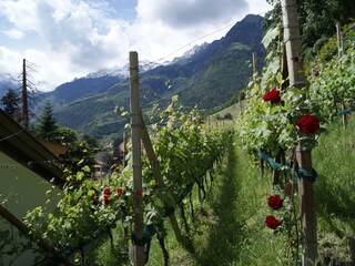 Appartamento Meran Registrazione all'aperto 2