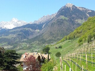 Appartamento Meran Registrazione all'aperto 3