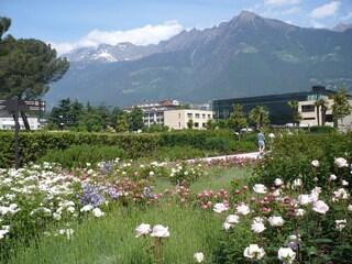 Appartamento Meran Ambiente 18