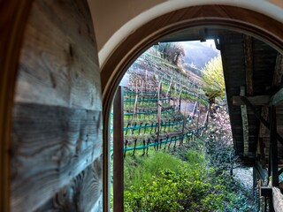 Appartamento Meran Registrazione all'aperto 7