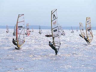 Wassersport am Neusiedlersee