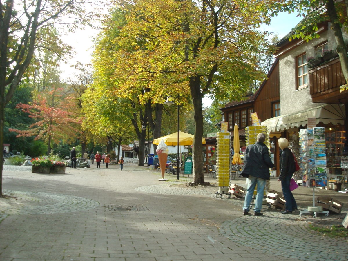 Ferienwohnungen Bad Harzburg Ferienwohnungen Bad Harzburg